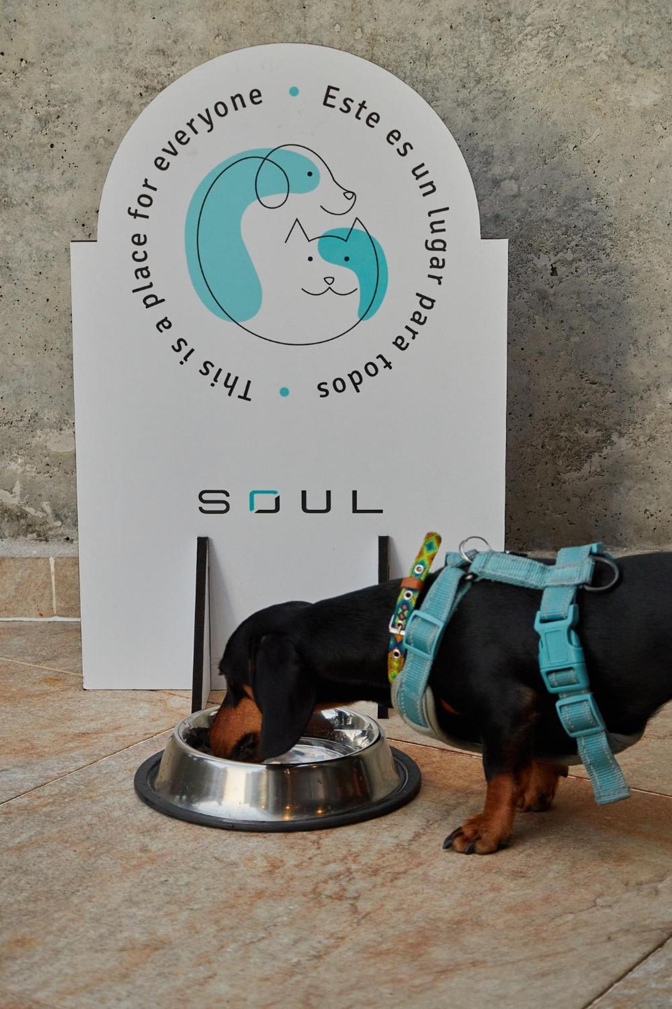 מדיין Soul Lifestyle Hotel מראה חיצוני תמונה